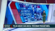 BRIN Temukan Laut di Kawasan Angke dan Ancol Terkontaminasi Parasetamol Tinggi