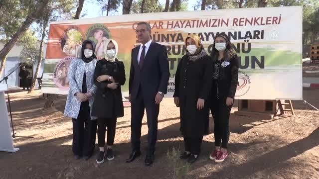 KAHRAMANMARAŞ - Öğrenciler barınaktaki sokak hayvanlarını ziyaret etti