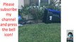 Florida man captures hissing alligator using trash bin in wild viral video