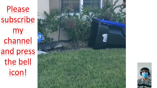 Florida man captures hissing alligator using trash bin in wild viral video