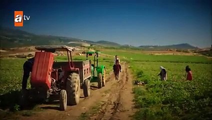 مسلسل جرح القلب - الحلقة 15