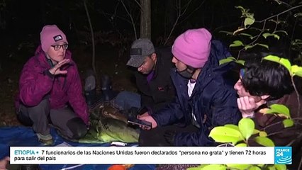 Miles de migrantes en la frontera entre Belarús y Polonia intentan llegar a la Unión Europea