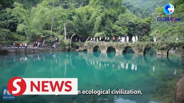 China's sustained green efforts have unbelievably positive impact expert