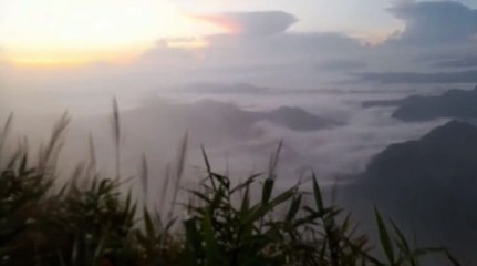 เปิด "ภูชี้ฟ้า" วันแรก นทท.แห่สัมผัสอากาศหนาวคึกคัก