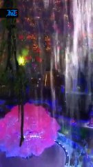 Whatsapp Video 2021-10-01 At 12.10.09 Am