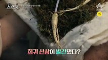 [예고] 목숨을 건 산삼 캐기! 조선의 귀한 산삼을 둘러싼 암투