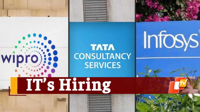 Where Are The Jobs? At Big IT Companies - TCS, Infosys, Wipro & At Big IT Hubs