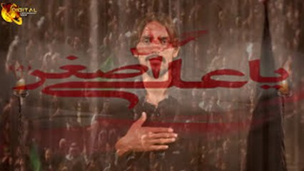 Bano Ki Sada Thi | Noha | Syed Ahmed Raza Zaidi | Muharram