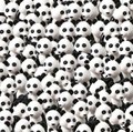 Seuls les plus observateurs trouveront le chien caché parmi ces pandas