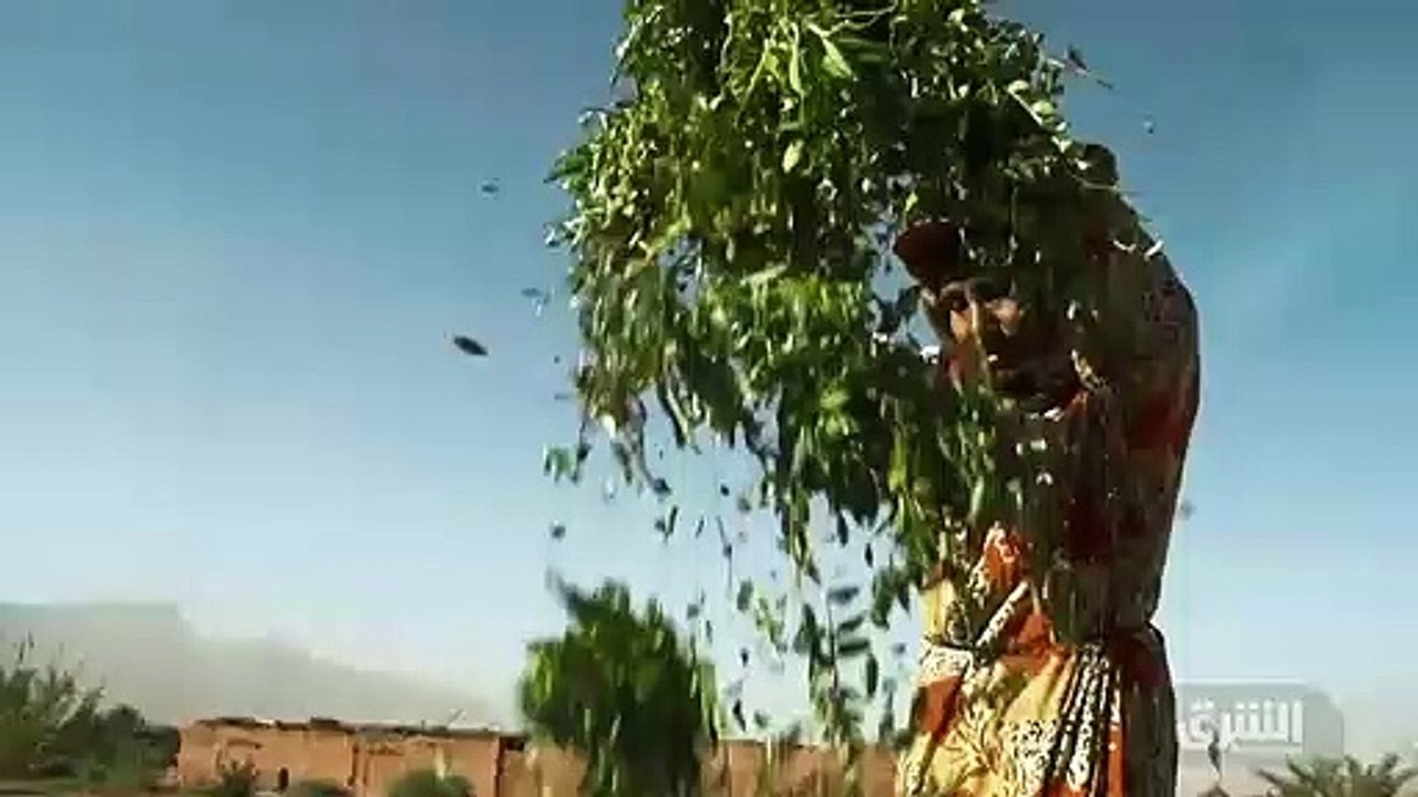 ...لأ...