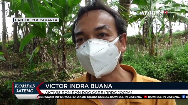 Belasan Anjing Diselamatkan Dari Rumah Jagal