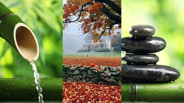 Relaxing video - october