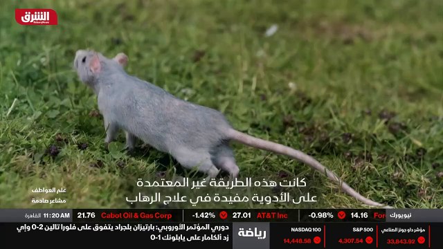 ...حالة الإكتئاب وحالات القلق وما إلى ذلك ....