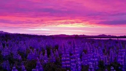 Video created for kids