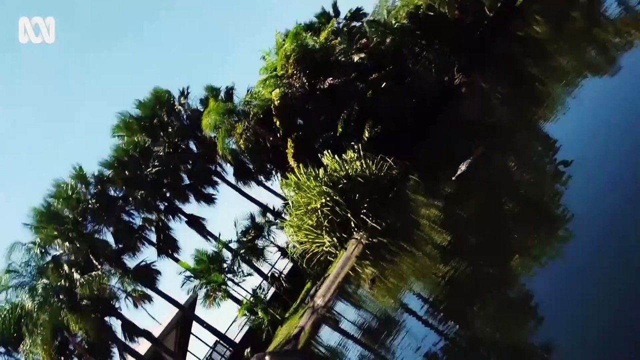 Krokodil schnappt Drohne aus der Luft in Australien