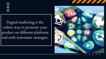 Digital Marketing Services Provided by Agency Box