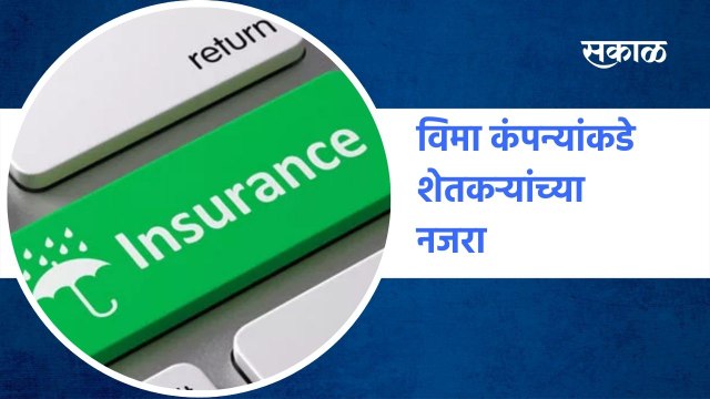 Insurance Companies : विमा कंपन्यांकडे शेतकऱ्यांच्या नजरा | Sakal Media |