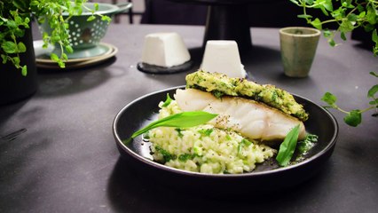 Cabillaud en croûte d'ail des ours au chèvre frais