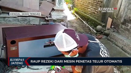 Raup Rezeki Dari Mesin Penetas Telur Otomatis