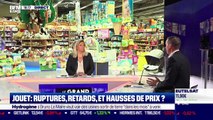 Romain Mulliez (PicWicToys) : Ruptures, retards et hausses de prix dans le secteur du jouet ? - 30/09