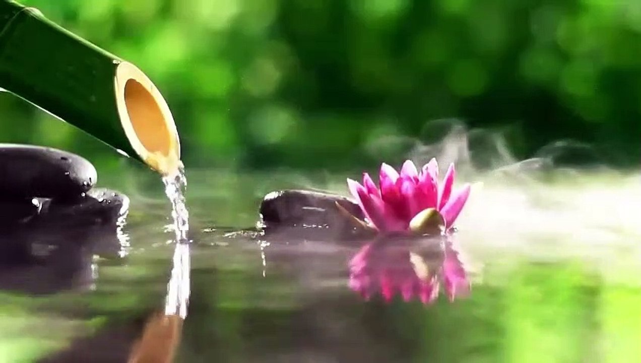 Bamboo Flute Music, Positive Energy Vibration, Cleanse Negative Energy