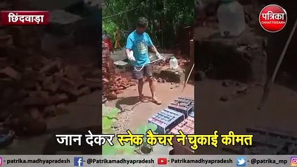 जान देकर चुकानी पड़ी सांप से खेलने की कीमत देखें वीडियो...