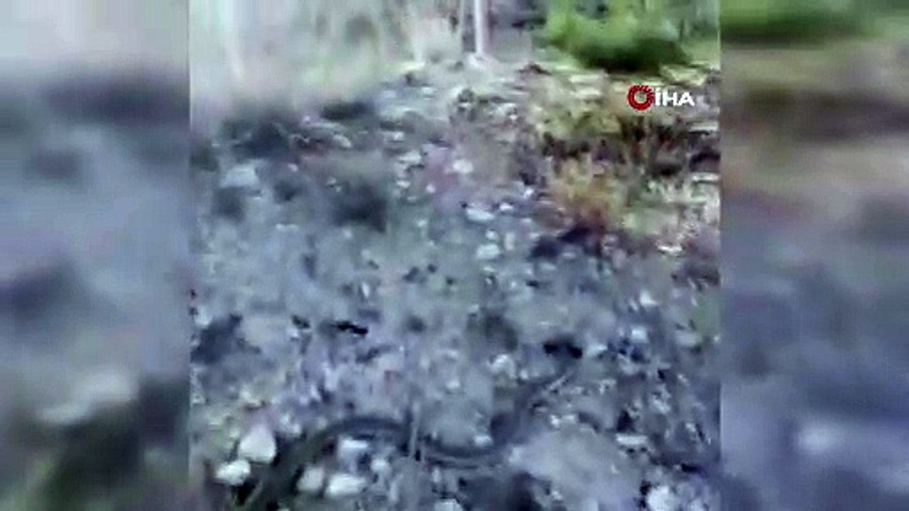 Isparta’da vatandaşın yılanla sohbeti viral oldu; "Hah deli hah sığamadın deliğe"