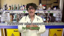 Professeur BERNARD - Les perturbations neuro comportementales