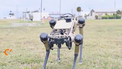 AMAZING U.S. AIR FORCE MILITARY ROBOT DOG YOU MUST SEE!