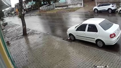 Vídeo mostra queda de árvore na Rua Cuiabá, no Bairro Neva