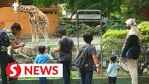 All smiles and wonders for visitors at Zoo Negara on its first day of re-opening