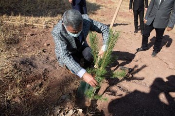 TUNCELİ'DE AŞI OLANLARIN ADINA FİDAN DİKİLMEYE BAŞLANDI