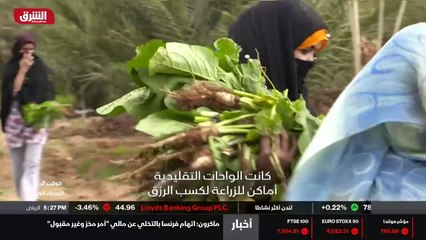 ...وهذا فلفل أحمر . هذا التدين وهذا بقدونس ...