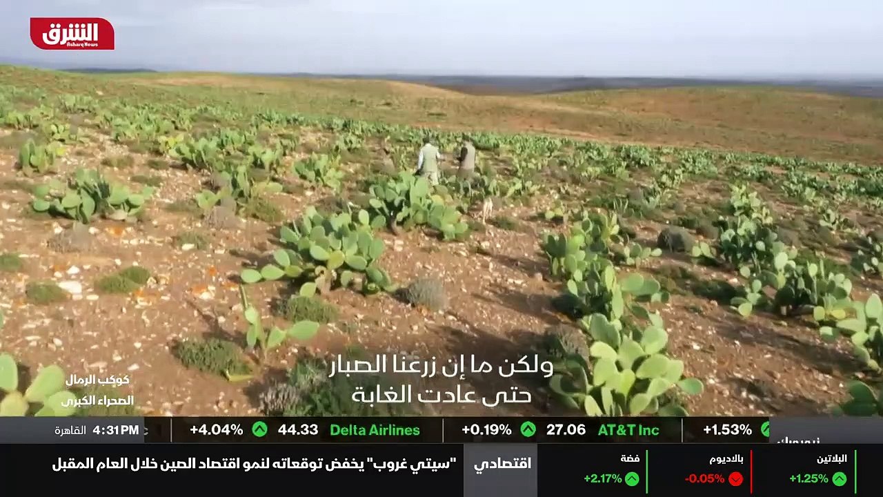 ...يقع وسط الصحراء حيث معدل هطول الامطار اق...