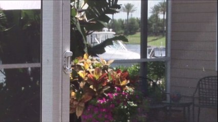 How To Clean Pollen Off Your Screen Door Without Having a Major Allergy Attack in the Process