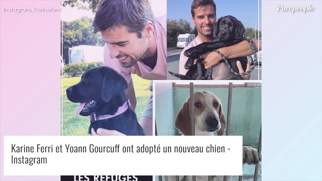 Karine Ferri mariée : rares photos de Yoann Gourcuff avec qui elle partage la même passion