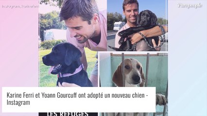 Karine Ferri mariée : rares photos de Yoann Gourcuff avec qui elle "partage la même passion"