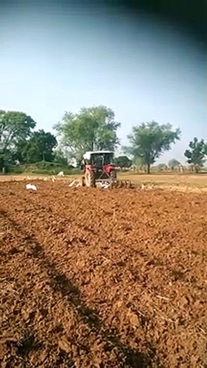 जिले में इस बार 3 लाख हैक्टेयर में होगी रबी की बुवाई