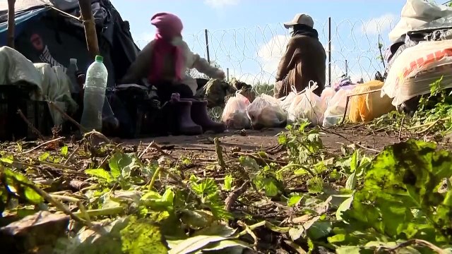Польша: погранохрана вернула группу мигрантов в места пересечения границы с Республикой Беларусь