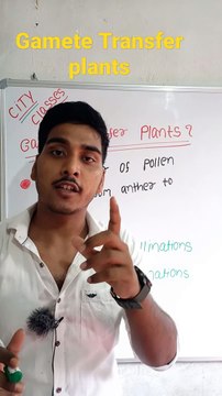Gamete transfer plants | Gamete transfer plants in Hindi | Gamete transfer plants biology #cityclasses