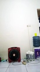 Daun jatuh...-resah jadi luka