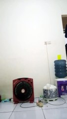 Daun jatuh...-resah jadi luka