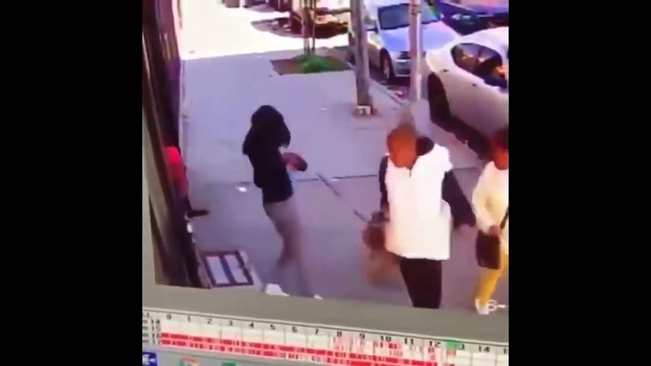 Angry Cats Vs Dogs Funny Compilation Video Ever_ cats and dog Fight_My Way