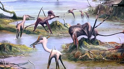 The Kings of the Skies! Pterosaurs Played the Long Game to Become The Powerful Dino They Were