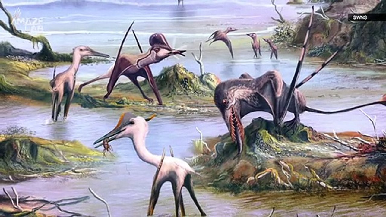 The Kings of the Skies! Pterosaurs Played the Long Game to Become The Powerful Dino They Were