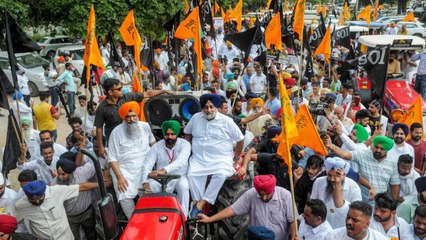 Paddy procurement postponed in Punjab to Delhi
