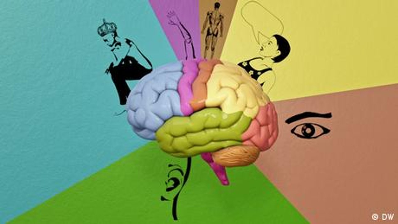 Wie funktioniert unser Gehirn?