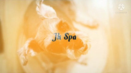 My work vlog 2 Jitender Kusum