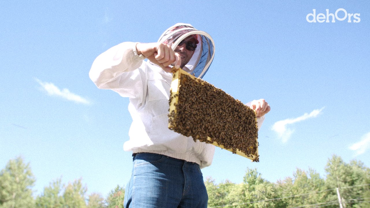 Melifera : des abeilles qui créent le buzz | Re...