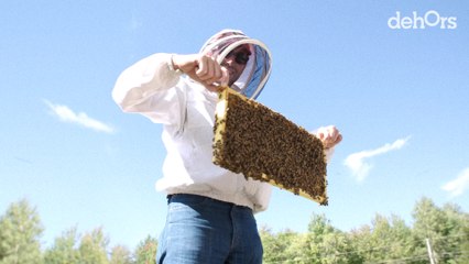 Melifera : des abeilles qui créent le buzz | Reportage
